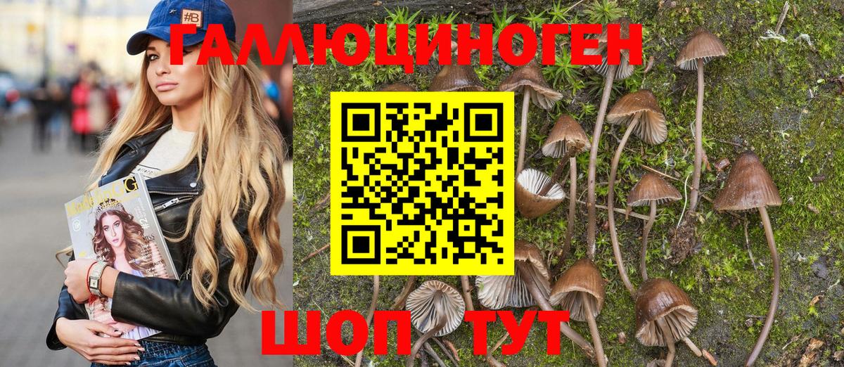 Десногорск  Галлюциногенные грибы MAGIC MUSHROOMS  купить наркотики цена  Вход с VPN 